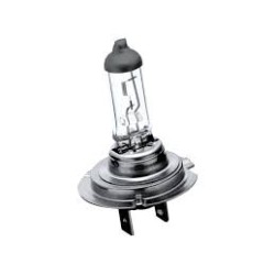 Lampe H7 12V 55W CASTEELS