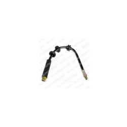 Flexible freins Delphi LH0331