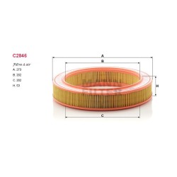 Filtre à air Mann C2846