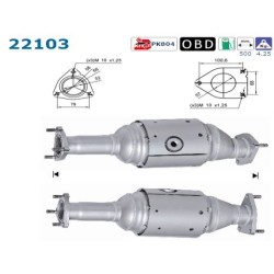 Catalyseur AS 22103