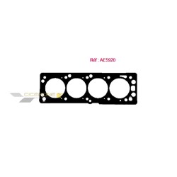 Joint culasse Payen AE5920