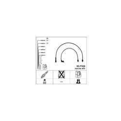 Faisceau Ngk RC-FT428