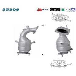 Catalyseur AS 55309