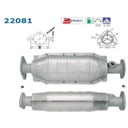 Catalyseur AS 22081