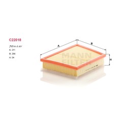 Filtre à air Mann C22018