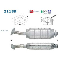 Catalyseur AS 21189