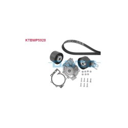 Kit+pompe Dayco KTBWP5920