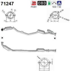 Catalyseur AS 71247