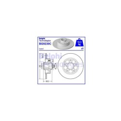 Lot de 2 Disque+Rlt (x1) Delphi BG9230RSC